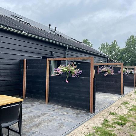 Cozy Holiday Home In Vrouwenpolder Close To The Beach 외부 사진